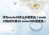 華為mate20怎么升級系統(tǒng)（mate20如何升級10 mate20升級系統(tǒng)）