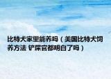 比特犬家里能養(yǎng)嗎（美國比特犬飼養(yǎng)方法 鏟屎官都明白了嗎）