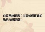 白菜用施肥嗎（白菜如何正確的施肥 請(qǐng)看回答）