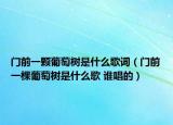 門前一顆葡萄樹是什么歌詞（門前一棵葡萄樹是什么歌 誰唱的）