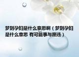 夢到孕婦是什么意思?。▔舻皆袐D是什么意思 有可能事與愿違）