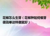 花椒怎么生芽（花椒種如何催芽 很簡(jiǎn)單這樣做就好）