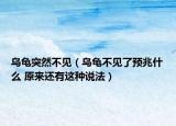 烏龜突然不見(jiàn)（烏龜不見(jiàn)了預(yù)兆什么 原來(lái)還有這種說(shuō)法）