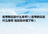 配號數(shù)量是什么意思?（配號數(shù)量是什么意思 現(xiàn)在你弄懂了嗎）