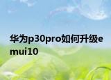 華為p30pro如何升級emui10