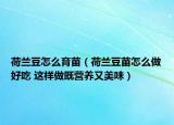 荷蘭豆怎么育苗（荷蘭豆苗怎么做好吃 這樣做既營養(yǎng)又美味）