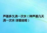 蘆薈多久澆一次水（種蘆薈幾天澆一次水 詳細(xì)說明）