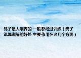 鴿子是人喂養(yǎng)的,一般都經(jīng)過(guò)訓(xùn)練（鴿子饑餓訓(xùn)練的好處 主要作用在這幾個(gè)方面）