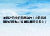 羊蹄葉的根的藥用功效（中藥羊蹄根的歸經(jīng)和功效 用法用量是多少）