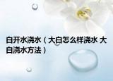 白開水澆水（大白怎么樣澆水 大白澆水方法）