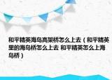 和平精英海島高架橋怎么上去（和平精英里的海島橋怎么上去 和平精英怎么上海島橋）
