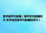 夏季拋竿釣鰱鳙（拋竿冬釣鰱鳙技巧 冬季遠(yuǎn)投揚(yáng)竿釣鰱鳙的技巧）