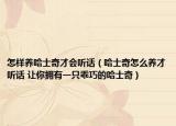 怎樣養(yǎng)哈士奇才會聽話（哈士奇怎么養(yǎng)才聽話 讓你擁有一只乖巧的哈士奇）