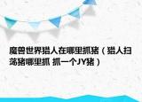 魔獸世界獵人在哪里抓豬（獵人掃蕩豬哪里抓 抓一個JY豬）
