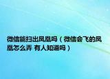 微信能掃出鳳凰嗎（微信會(huì)飛的鳳凰怎么弄 有人知道嗎）