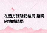 在遠(yuǎn)方路曉鷗結(jié)局 路曉鷗情感結(jié)局