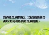 鸚鵡能定點(diǎn)排便么（鸚鵡便便會定點(diǎn)嗎 如何訓(xùn)練鸚鵡定點(diǎn)便便）