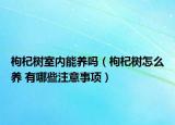 枸杞樹室內(nèi)能養(yǎng)嗎（枸杞樹怎么養(yǎng) 有哪些注意事項）