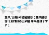 韭菜幾月份不能割越冬（韭菜越冬前什么時(shí)間停止釆割 原來(lái)是這個(gè)季節(jié)）
