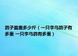 鴿子最重多少斤（一只李鳥鴿子有多重 一只李鳥鴿有多重）