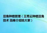豆角種植管理（王秀云種植豆角技術(shù) 簡(jiǎn)單介紹給大家）