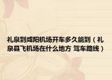 禮泉到咸陽機場開車多久能到（禮泉縣飛機場在什么地方 駕車路線）