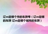 遼m是哪個(gè)市的車(chē)牌號(hào)（遼m是哪的車(chē)牌 遼m是哪個(gè)城市的車(chē)牌）