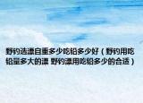 野釣選漂自重多少吃鉛多少好（野釣用吃鉛量多大的漂 野釣漂用吃鉛多少的合適）