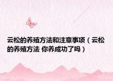 云松的養(yǎng)殖方法和注意事項（云松的養(yǎng)殖方法 你養(yǎng)成功了嗎）