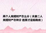 兩個(gè)人離婚財(cái)產(chǎn)怎么分（夫妻二人離婚財(cái)產(chǎn)怎樣分 勝算才是起跑線）