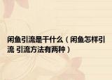 閑魚(yú)引流是干什么（閑魚(yú)怎樣引流 引流方法有兩種）
