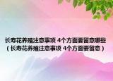 長壽花養(yǎng)殖注意事項 4個方面要留意哪些（長壽花養(yǎng)殖注意事項 4個方面要留意）