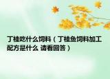 丁桂吃什么飼料（丁桂魚飼料加工配方是什么 請看回答）