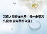 怎樣才能查詢電費(fèi)（柳州電費(fèi)怎么查詢 查電費(fèi)怎么查）