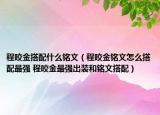程咬金搭配什么銘文（程咬金銘文怎么搭配最強 程咬金最強出裝和銘文搭配）