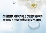 孕晚期夢(mèng)見(jiàn)柿子樹(shù)（孕婦夢(mèng)到柿子樹(shù)成熟了 或許想告訴你某個(gè)真相）