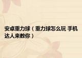 安卓重力球（重力球怎么玩 手機(jī)達(dá)人來教你）