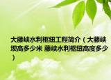 大藤峽水利樞紐工程簡(jiǎn)介（大藤峽壩高多少米 藤峽水利樞紐高度多少）