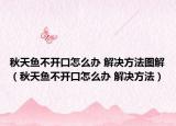 秋天魚不開口怎么辦 解決方法圖解（秋天魚不開口怎么辦 解決方法）