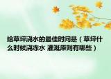 給草坪澆水的最佳時間是（草坪什么時候澆凍水 灌溉原則有哪些）