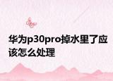 華為p30pro掉水里了應該怎么處理