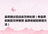 韭菜割過后應該怎樣處理（老韭菜收割后怎樣管理 韭菜收割后管理方法）
