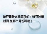 豌豆是什么季節(jié)種的（碗豆種植時(shí)間 在哪個(gè)月份種植）