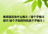 身高矮適合什么格斗（矮個子格斗技巧 矮個子如何對抗高個子格斗）
