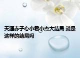 天涯赤子心小君小杰大結(jié)局 就是這樣的結(jié)局嗎