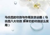 馬齒莧的功效與作用及禁忌圖（馬齒莧八大功效 原來它的功效這么實(shí)用）