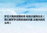 夢(mèng)見大狗追我想咬我 咬我衣服甩出去（周公解夢(mèng)夢(mèng)見狗追我咬衣服 這是壞的兆頭嗎）