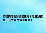 欲錢(qián)找厚此薄彼的生肖（厚此薄彼是什么生肖 生肖有什么）