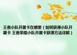 王者小隊(duì)開(kāi)黑卡在哪里（如何獲得小隊(duì)開(kāi)黑卡 王者榮耀小隊(duì)開(kāi)黑卡獲得方法詳解）