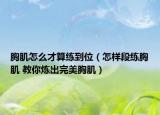 胸肌怎么才算練到位（怎樣段練胸肌 教你煉出完美胸?。? /></span></a>
                        <h2><a href=